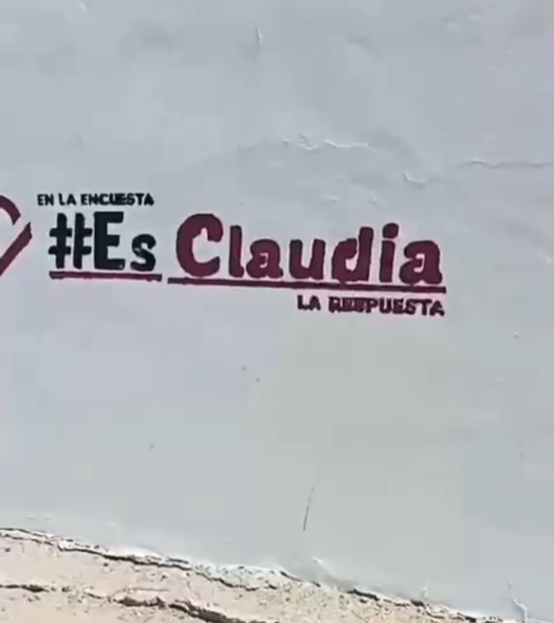 CAUSA MOLESTIA PROMOCIONAL PARTIDISTA EN BARDA DE ESCUELA