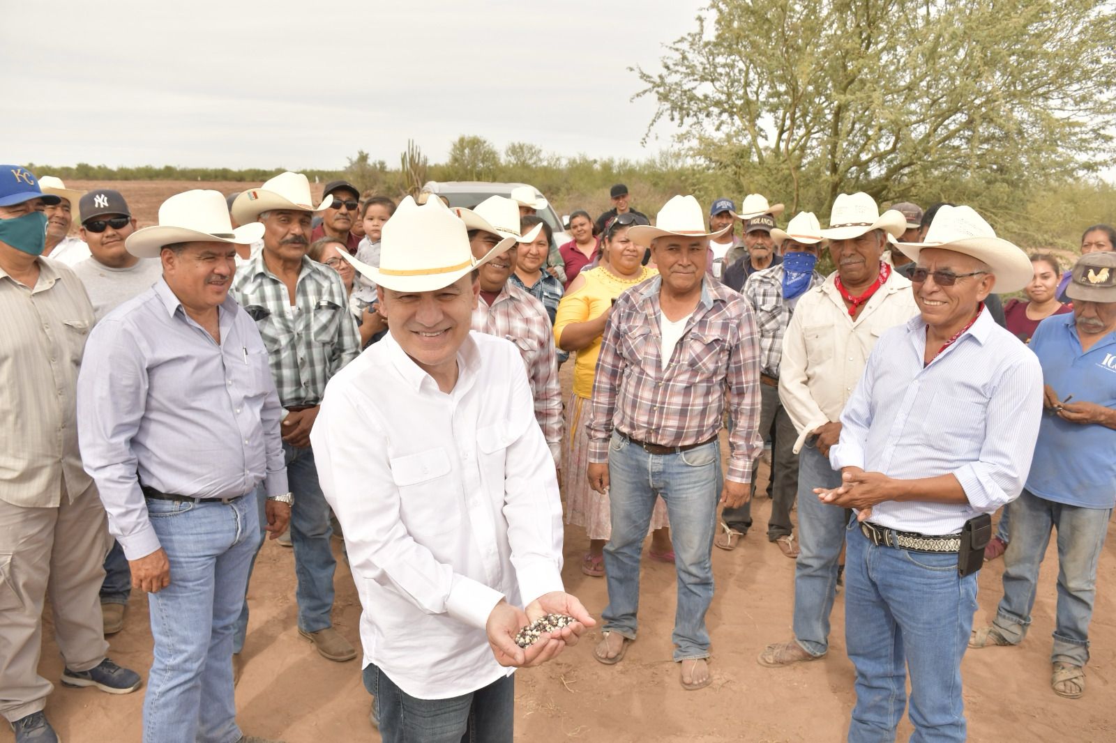 ESTÁ SONORA EN TOP “FIVE” DE MEJORES EXPORTADORES AGRÍCOLAS