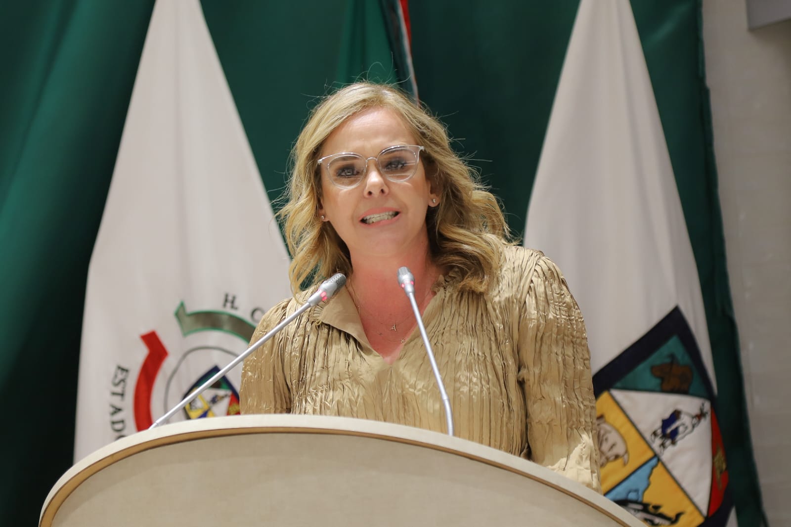 “Estamos concluyendo una legislatura insignificante”: diputada Díaz Brown