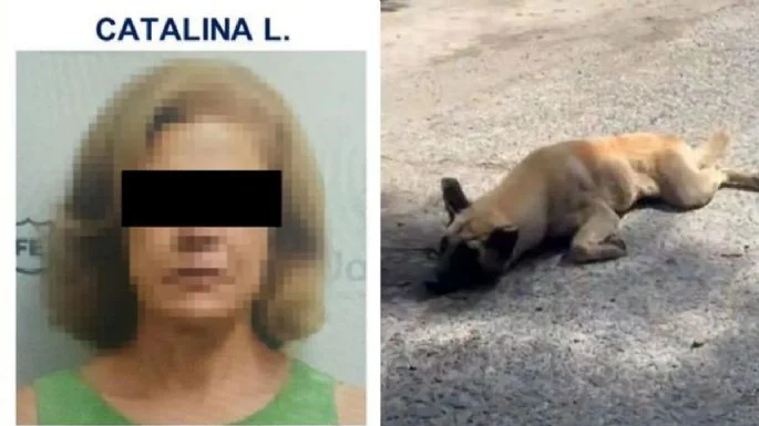 Vinculan a proceso a mujer por el delito de crueldad animal