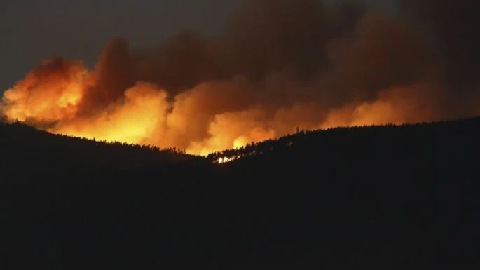 Declaran zona de desastre a Portugal por incendios forestales