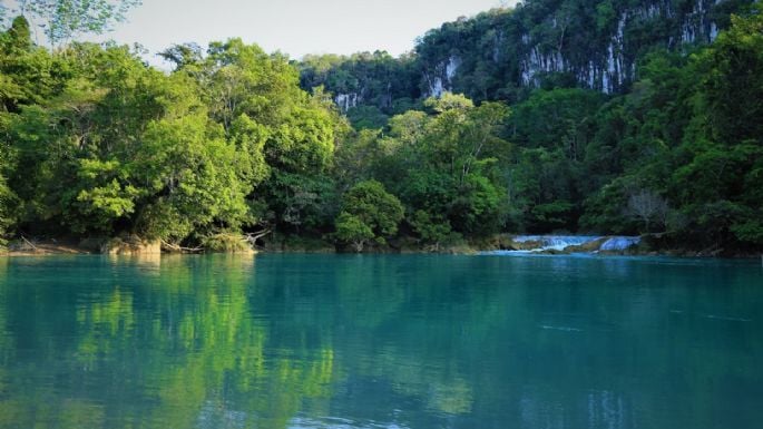 Denuncian Mayas inflitración del CO en selva lacandona