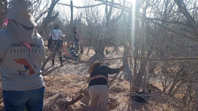 Hallan nueve fosas clandestinas con 14 cadáveres en BCS