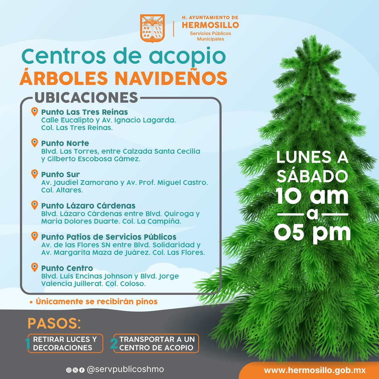 Abren centros de acopio para árboles navideños en Hermosillo