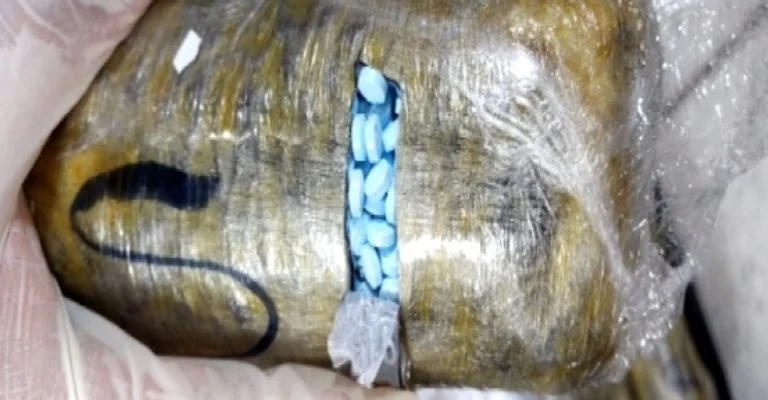 DETIENEN A DOS SUJETOS POR TRANSPORTAR MAS DE 16 MIL PASTILLAS DE FENTANILO EN SONORA