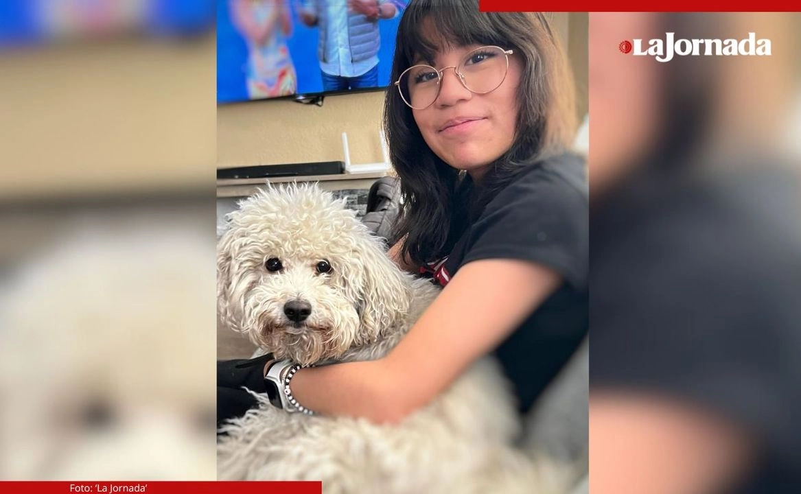 Mascotas mejoran salud mental de sus dueños: encuesta