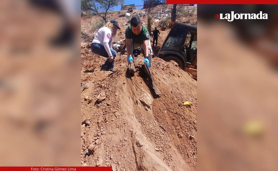 Hallan Madres Buscadoras de Sonora fosa clandestina