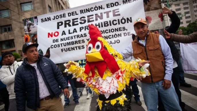 Marchan para mantener corridas de toros y peleas de gallos