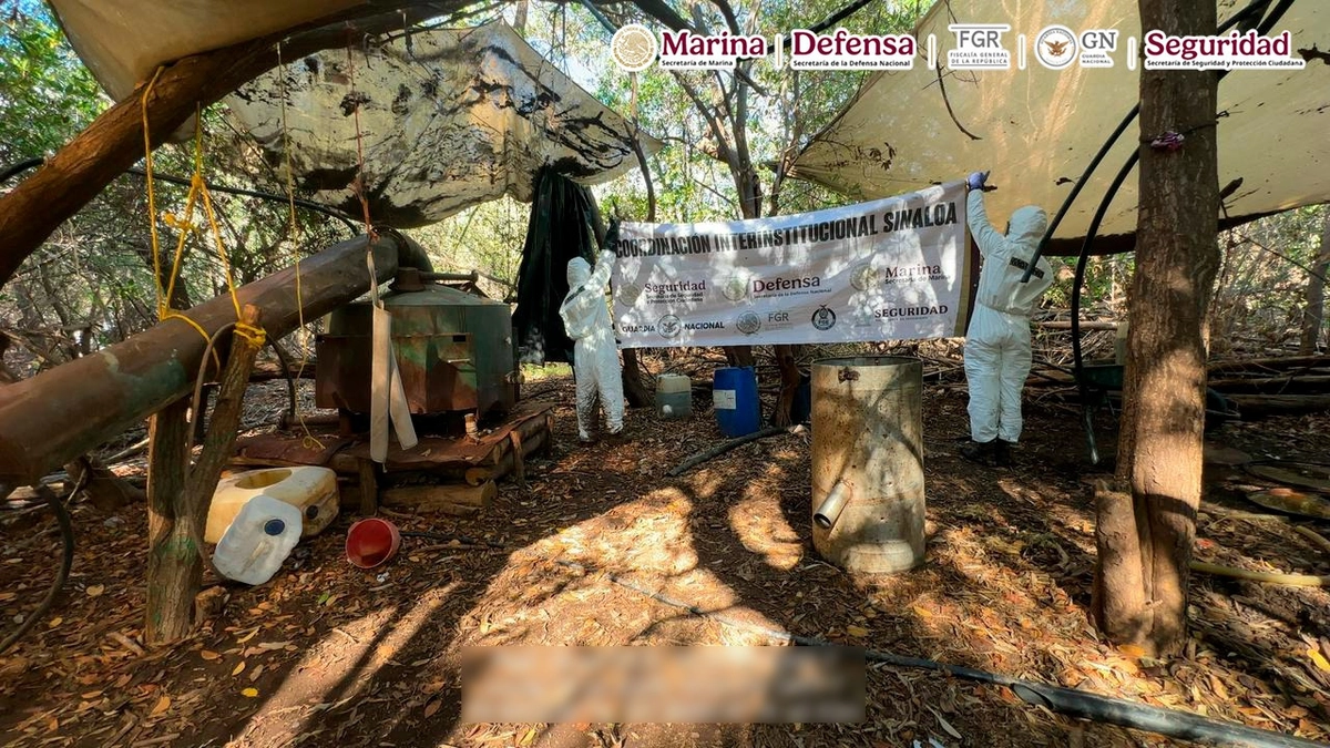Desmantelan seis narcolaboratorios con metanfetaminas en Sinaloa