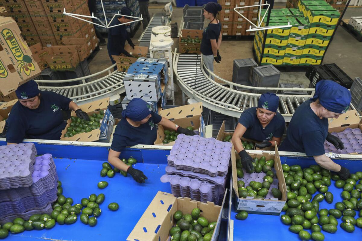 RECHAZAN EMPRESARIOS SONORENSES TARIFAS ARANCELARIAS DE TRUMP A PRODUCTOS MEXICANOS