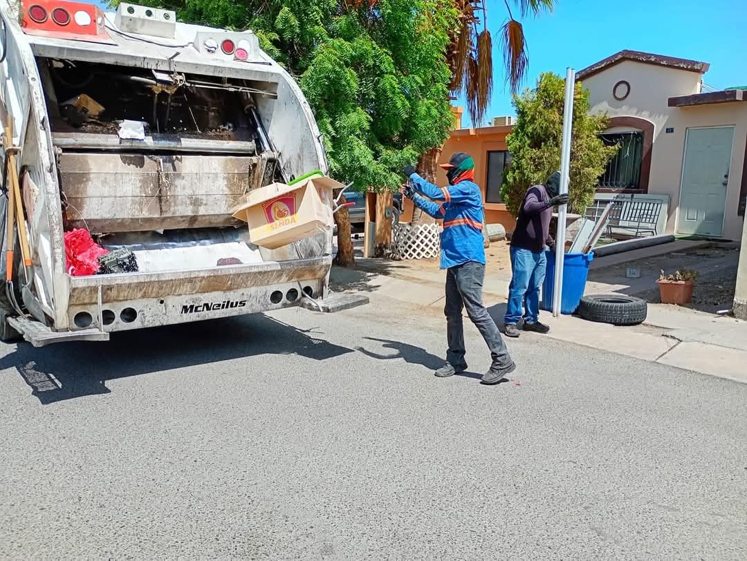 Recolección de basura en vacaciones será “normal”: Pavlovich