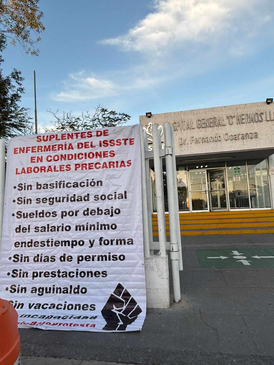 El Zancudo/Arturo Soto Munguía