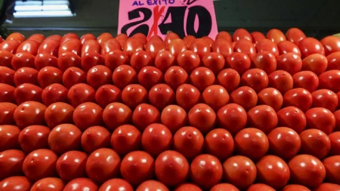 IMPONE ESTADOS UNIDOS “CUOTA COMPENSATORIA” AL TOMATE MEXICANO