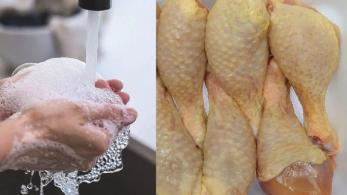 Cómo evitar la contaminación cruzada por pollo: UNAM