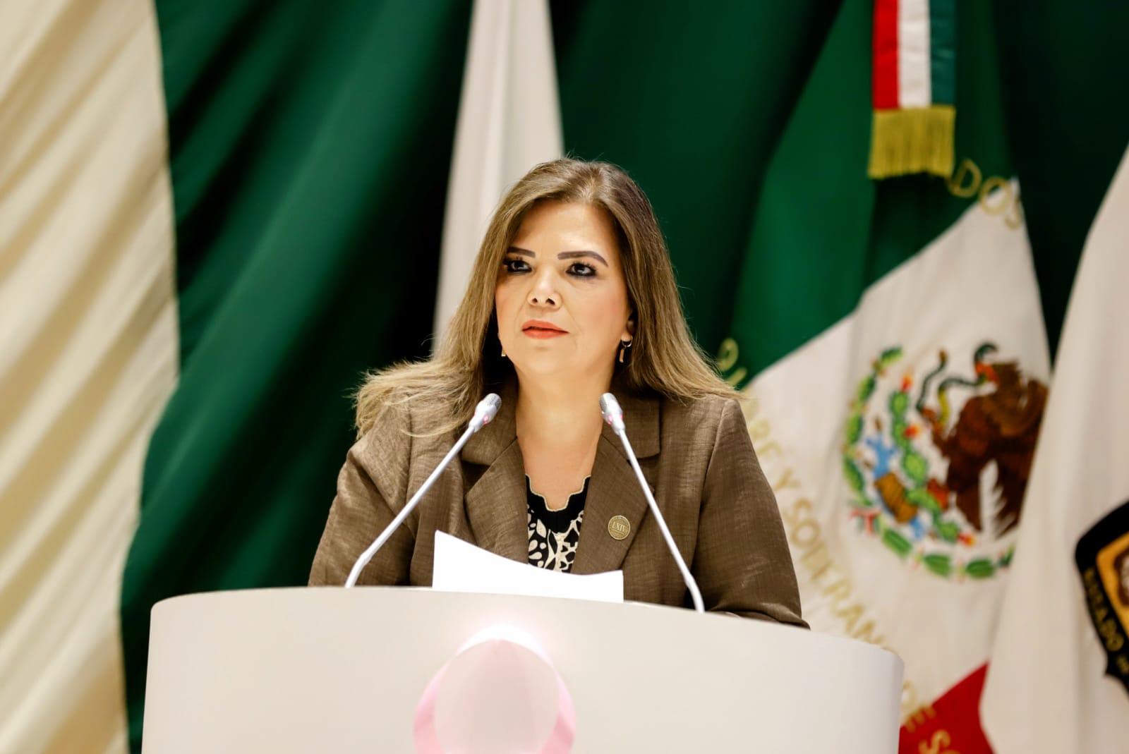 Es importante valorar lucha histórica de mujeres: Dip. Tapia