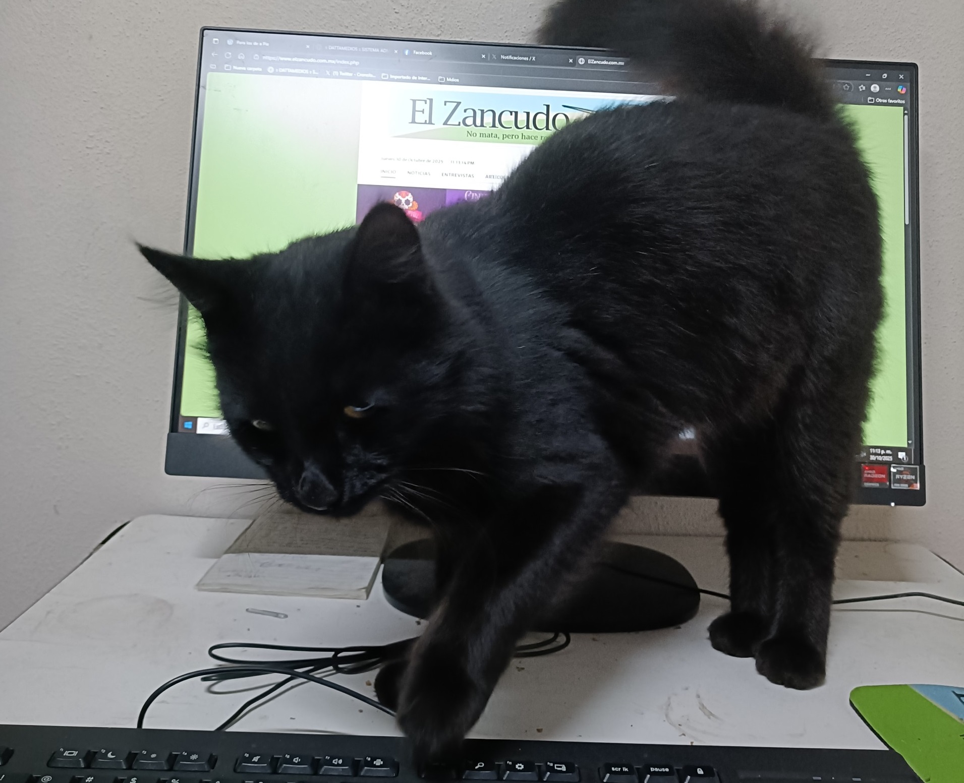 El Zancudo/Arturo Soto Munguía El Zancudo/Arturo Soto Munguía