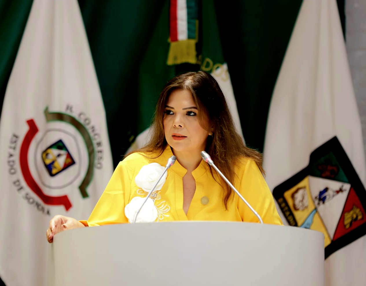 PRESENTA DIPUTADA TAPIA INICIATIVA PARA APOYAR A LOS PRODUCTORES SONORENSES DE GRANOS BÁSICOS