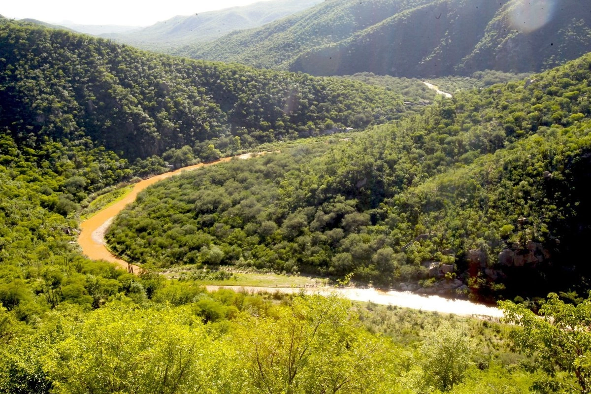 PRESIONA PRESIDENTA SHEINBAUM A GRUPO MÉXICO PARA QUE REPARE DAÑO AMBIENTAL DE RÍO SONORA PRESIONA PRESIDENTA SHEINBAUM A GRUPO MÉXICO PARA QUE REPARE DAÑO AMBIENTAL DE RÍO SONORA