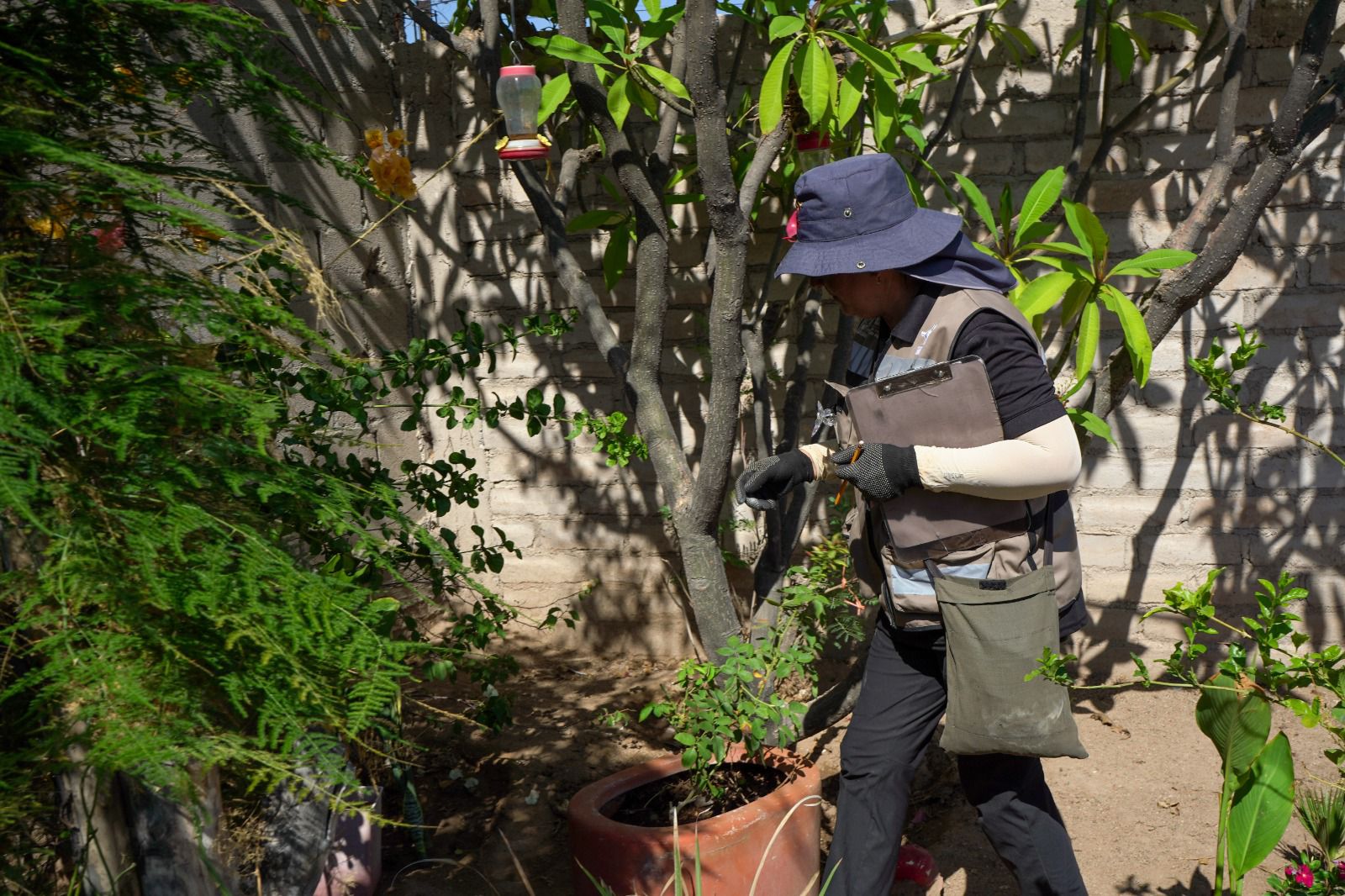 Llama sector salud a retirar maleza para prevenir dengue