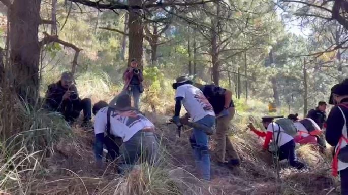 Proponen reconocer por ley labor de colectivos de búsqueda