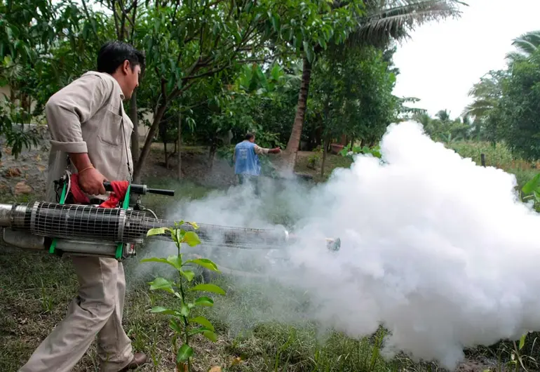 ENCABEZA SONORA LA LISTA DE ESTADOS CON MÁS CASOS DE DENGUE ENCABEZA SONORA LA LISTA DE ESTADOS CON MÁS CASOS DE DENGUE