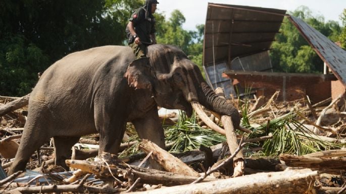 Va casi un millar de muertos por inundaciones en Indonesia