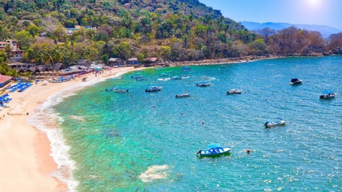 Muere turista tras chocar su lancha contra una ballena