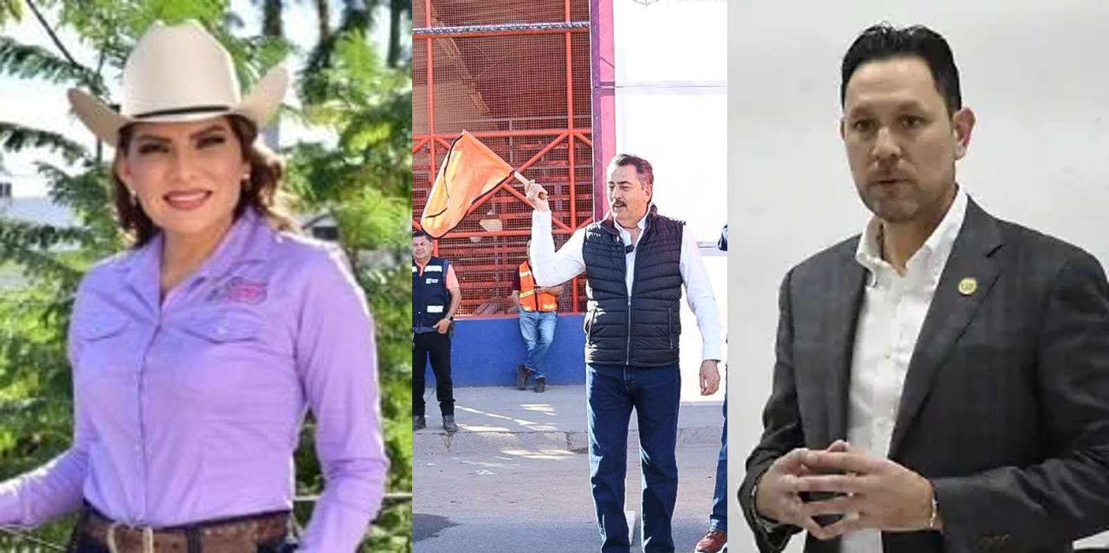 El Zancudo/Arturo Soto Munguía