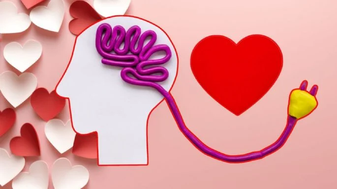 Lo que dice la ciencia médica sobre el amor Lo que dice la ciencia médica sobre el amor