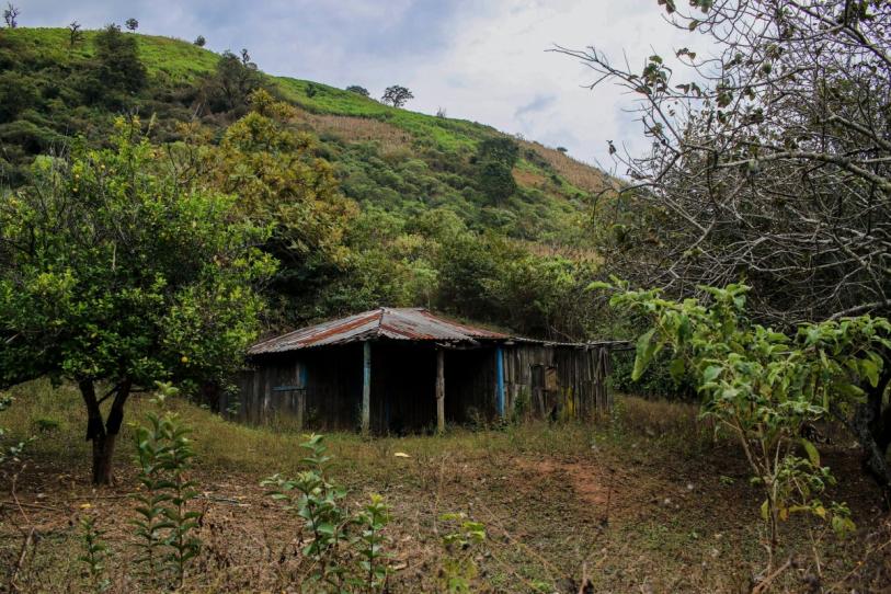 LOCALIZAN DIEZ CUERPOS EN UNA FOSA EN SINALOA; CINCO YA FUERON IDENTIFICADOS