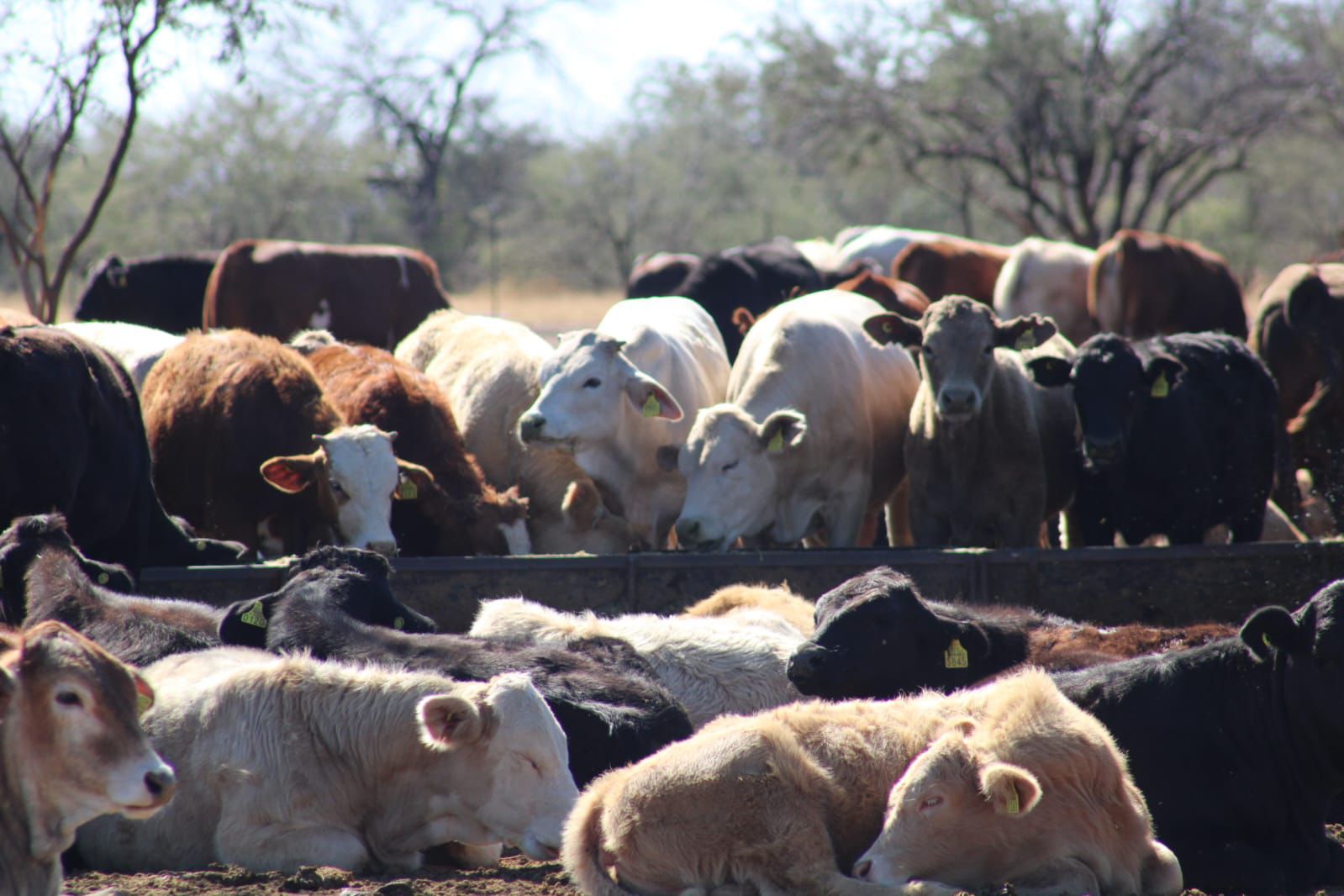 Archivo Confidencial/Armando Vásquez A.