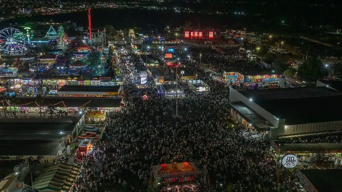 Tiros de Precisión/David Parra