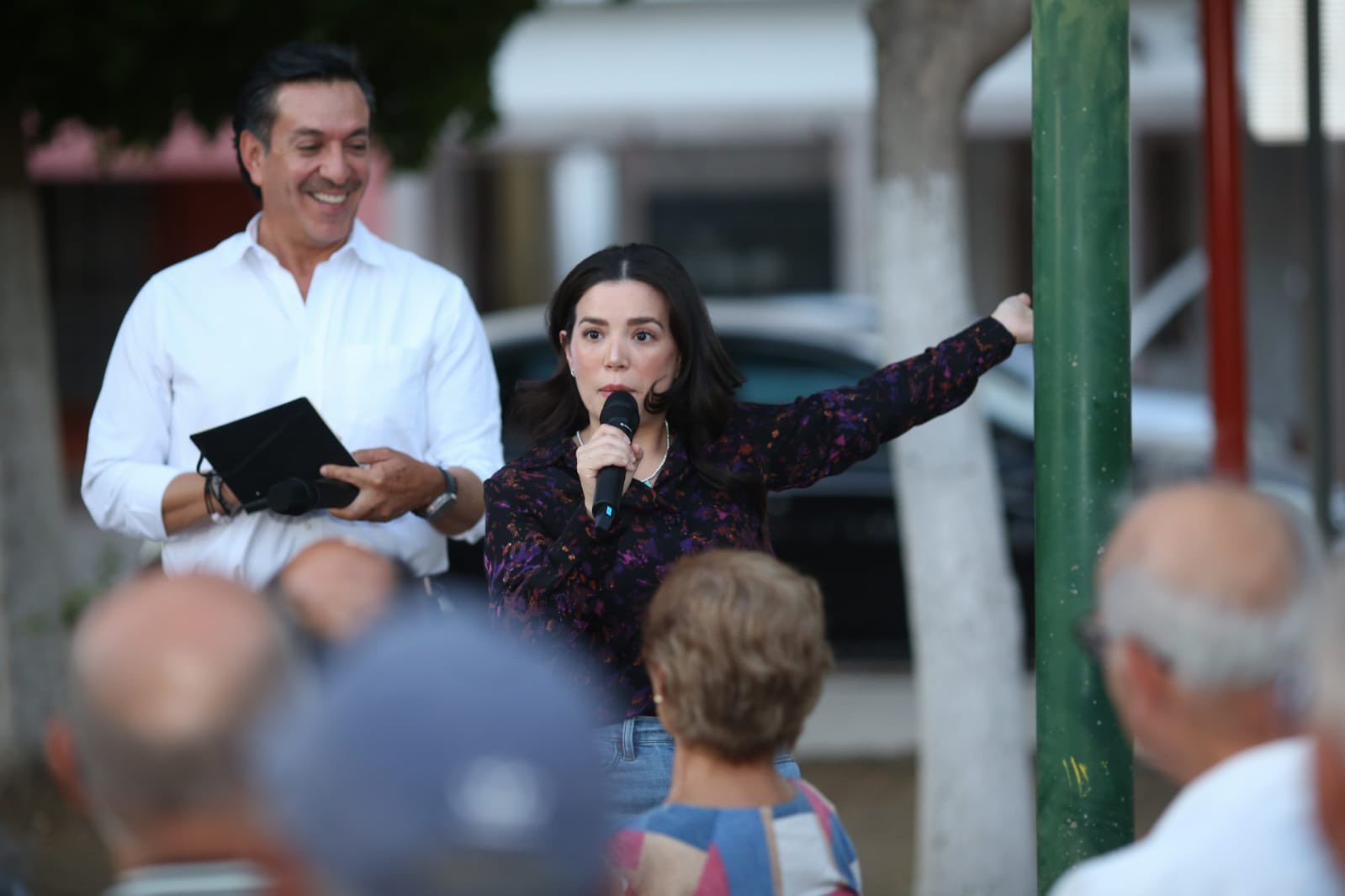 Para los de a Pie/LAP Luis Fernando Oropeza