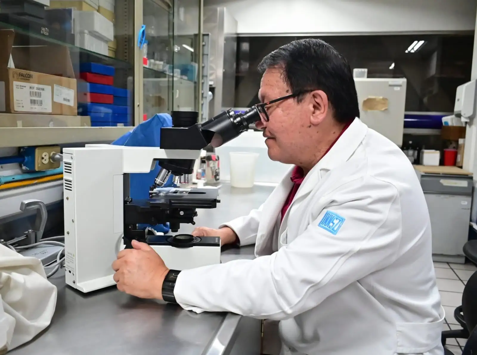 Analizan veneno de alacrán para combatir tuberculosis