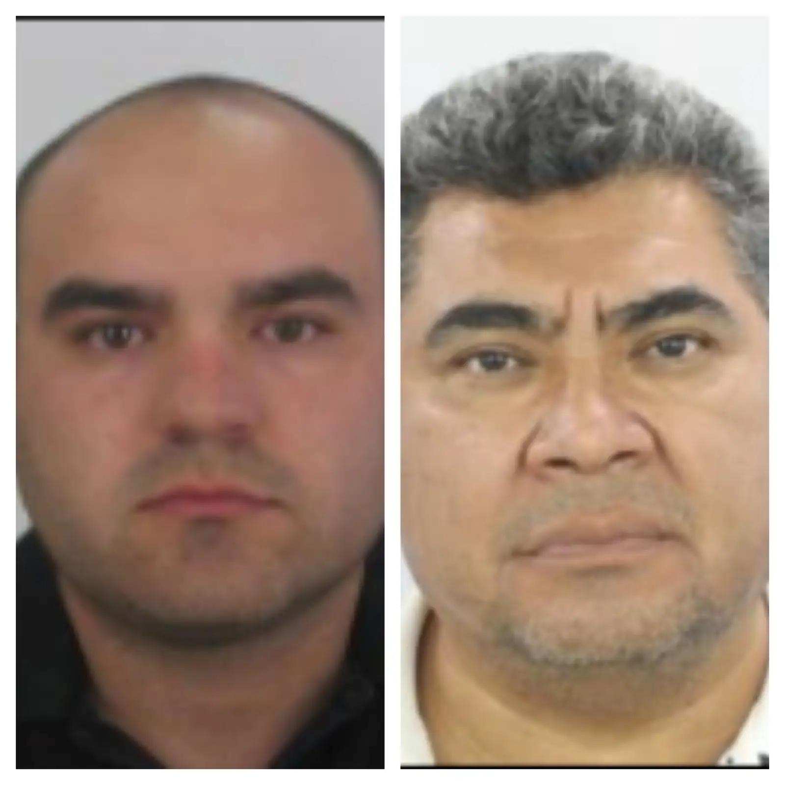 SANCIONA EU A DOS HUACHICOLEROS Y NUEVE EMPRESAS MEXICANAS VINCULADAS AL CJNG SANCIONA EU A DOS HUACHICOLEROS Y NUEVE EMPRESAS MEXICANAS VINCULADAS AL CJNG