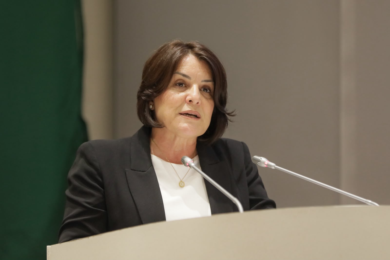 Urge diputada Félix a rescatar el Hospital Ocaranza del ISSSTE
