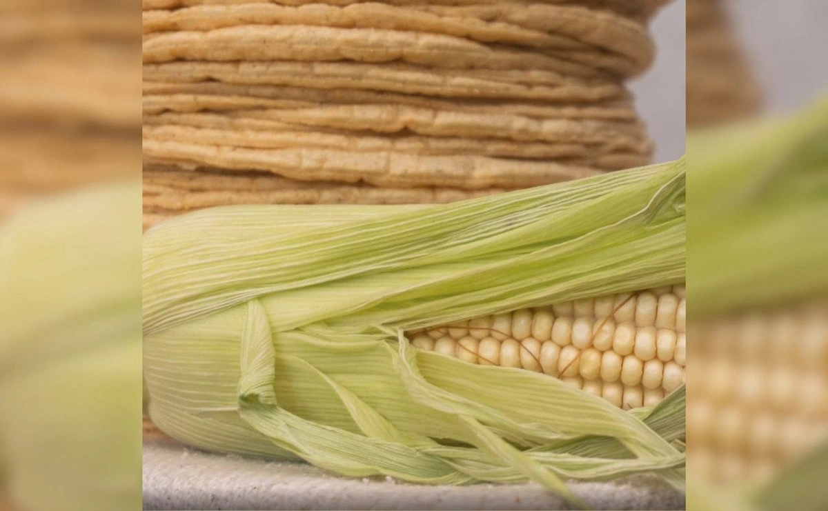 DESCARTAN AUTORIDADES AUMENTO AL PRECIO DE LA TORTILLA EN MÉXICO